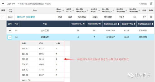 字号查重工具使用指南：基本数据填报步骤详解