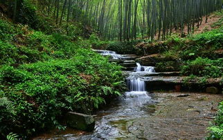 宜宾城免费停车场,成都到蜀南竹海两日游怎么安排?