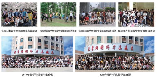 大连国际学校 大连东方外国语学院怎么样