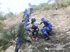 苍南一女子上山采药时,出事了