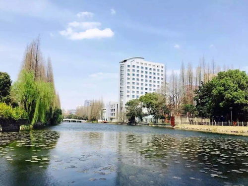 华东师范大学语言学及应用语言学2021年考研经验和复习建议