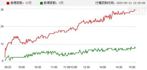 威士顿、播恩集团、华资实业涨停