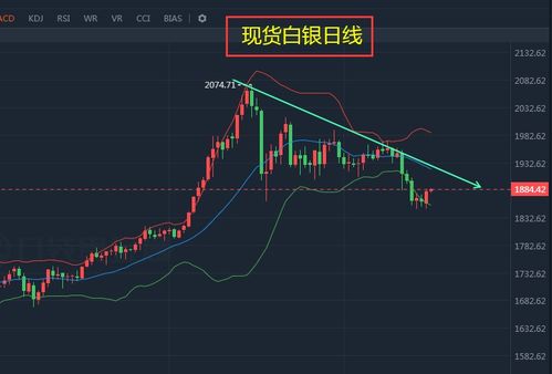 白银TD下午15点29分不能撤单吗？