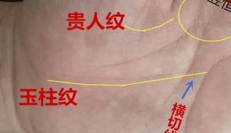 手掌中 玉柱纹 形成这3个特征,十人九富,简直无敌到家了