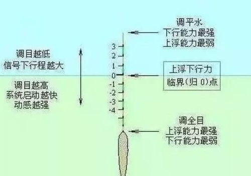 钓鲫三步调漂法,顿口清晰,简单实用,3分钟搞定 铅皮 