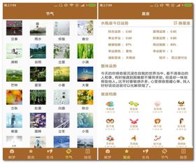 算命占卜大师客户端 算命占卜大师 1.1 手机免费版 