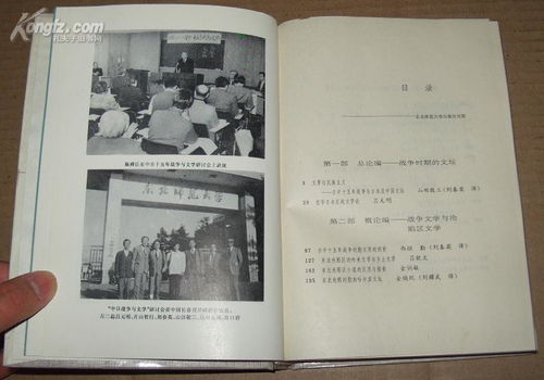 中日战争与文学 中日现代文学的比较研究 大32开精装 1992年1版1印 95品 D