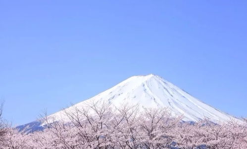 日本 流淌着古典和现代的斑斓色彩