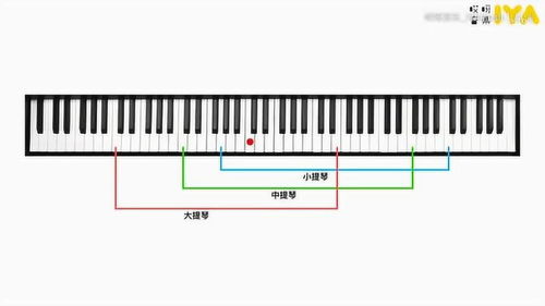 先来认识一下钢琴的原理,为以后学钢琴打下基础 