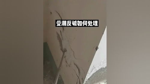 墙面受潮反碱起皮发霉如何处理 墙面受潮 墙面反碱掉皮 地下室受潮发霉 