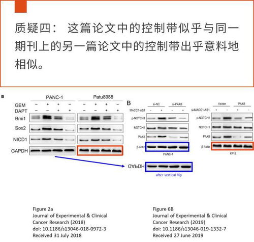 全国查论文重复软件哪个好