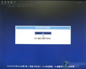 win10惠普增霸卡安装