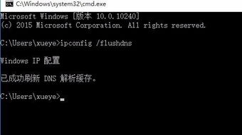 win10电脑清理dns缓存