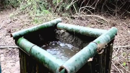 鱼池活水制造 小伙的想象力和动手能力都很酷哦 