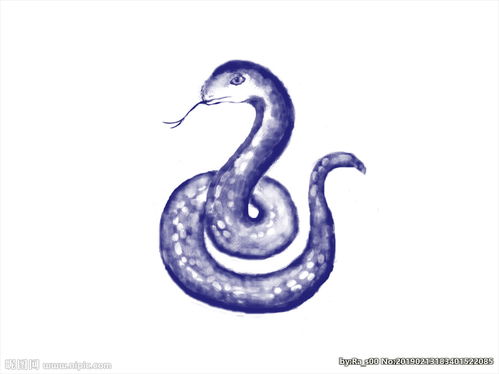 十二生肖 手绘青花系列 蛇图片 