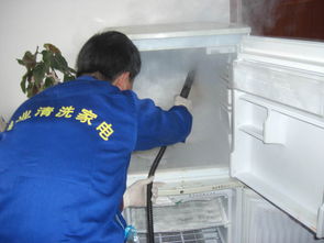 过程和保养也很重要 家电冰箱 