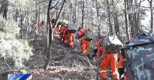 多措并举严防森林火灾发生 防火知识进校园共筑森林防火墙