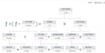 个股的财务报表该怎么看？