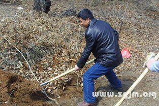 梦见使用铁锹掘土