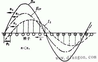 笼型转子的极数