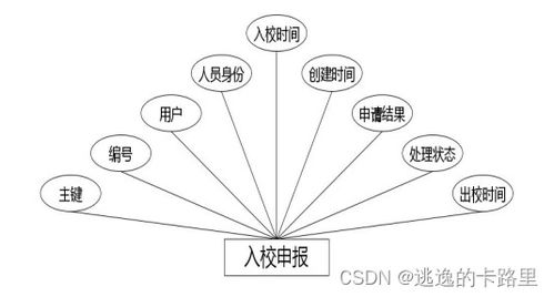 大专毕业设计查重指南：轻松通过论文审核