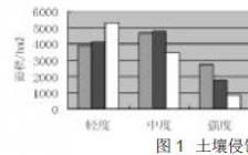 水土流失毕业论文