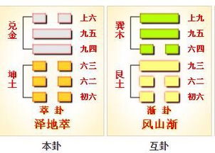 占卜世界杯,五星巴西VS瑞士军刀,将会上演小刀拉屁股 