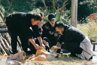 汪涵林依轮遇史上 最狠挑战 挤牛瘪 我摸过的风都在吐 百草 