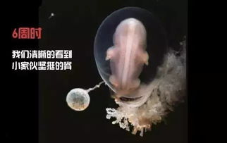 夹带精子回来给我看/太深了好紧好爽h