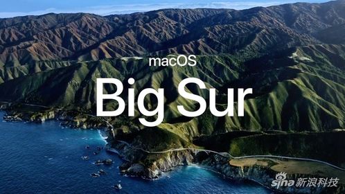 macOS名为Big Sur 界面迎来近两年最大调整