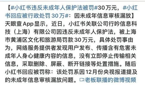 小红书违法被罚30万元,小红书变成小黄书