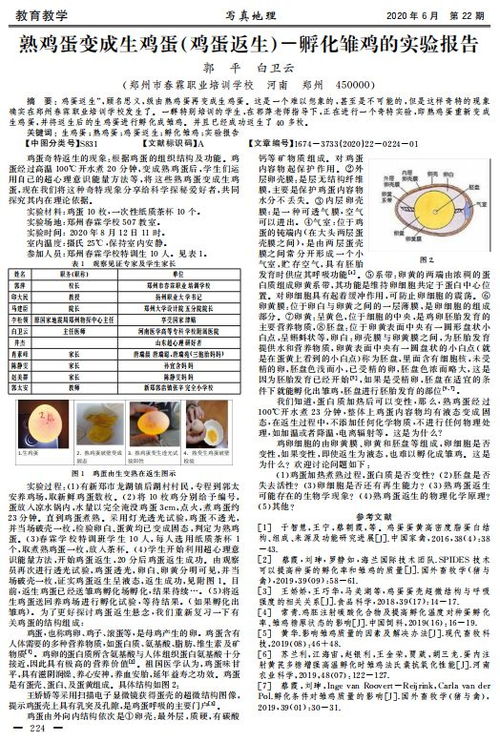 乘务,岗前,毕业论文,人员