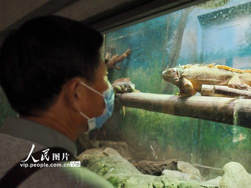 北京动物园有序恢复动物室内场馆开放