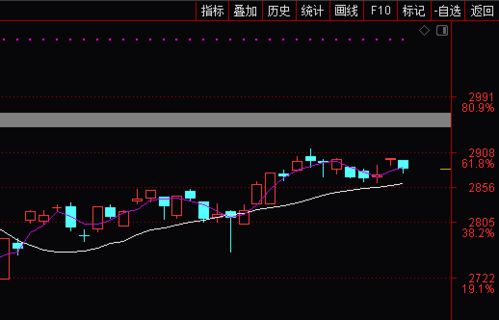 st沪科四块八买进接下来怎么操作，请帮忙指点。