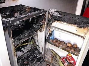 冰箱爆炸致兄妹二人丧命 你家冰箱使用正确吗 