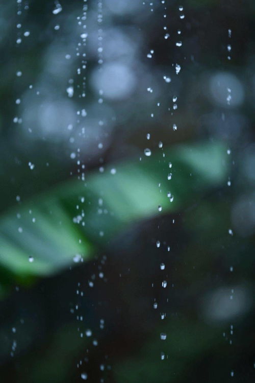 在中国,每一场雨都有自己的名字