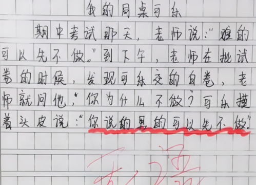 妈妈夸我真懂事写300字作文