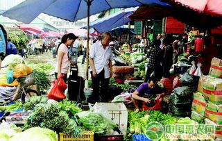 国内主要蔬菜批发市场 惠农网 