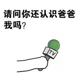 采访表情 搜狐娱乐 搜狐网 