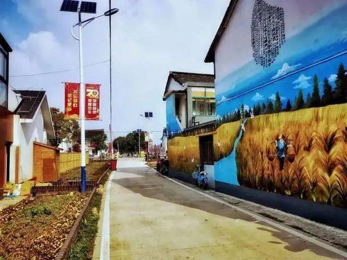 上海 乡村不仅有稻香,还有美丽又有趣的墙绘 这画笔神了