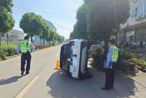 飞来横祸 台州女司机开车路上遭愤怒的小鸟袭击,慌乱中撞树翻车