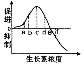 高中生物植物激素问题 