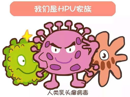 HPV病毒能导致哪些疾病 HPV病毒可以导致哪些疾病