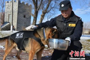 新疆一名新警犬训导员的别样生活 