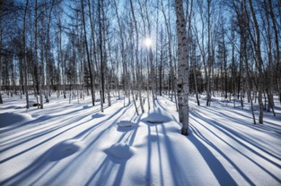 周公解梦梦见白雪