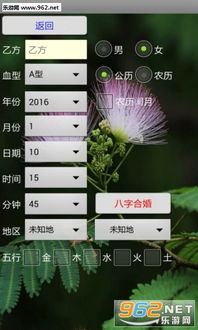 南方八字合婚破解版 南方八字合婚app下载 乐游网安卓下载 