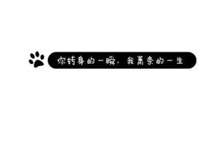 哪款作图软件有很多可爱的气泡,除了美图秀秀,像下图这种气泡可以输入文字的 