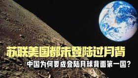 11月一号是什么星座(1金牛座性格特点)