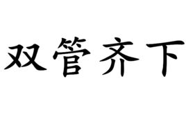 “双管齐下”最初是指什么？