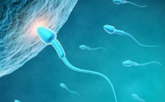 精子过多也可导致男性不育？
